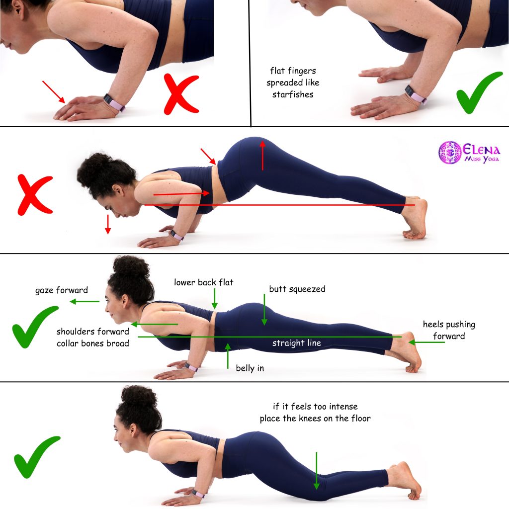 Yoga Posture - Chaturanga