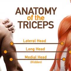 How to Do the Triceps Dips Exercise