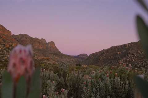 Cederberg Park Kromrivier: The Epic Mountain Escape You’ll Want To Book Immediately