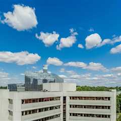 The Insider's Guide to Wellness Programs in McLean, Virginia