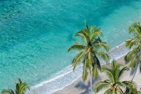 Here’s How Often You Should Work Out Based On Your Goals, According To Trainers